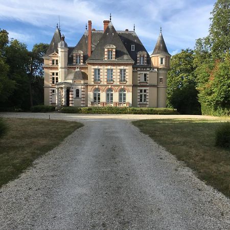 Bed and Breakfast Chateau De Praslins Nogent-sur-Vernisson Exterior foto