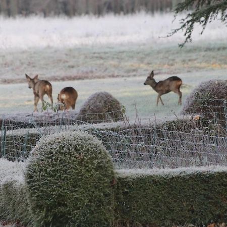 Bed and Breakfast Chateau De Praslins Nogent-sur-Vernisson Exterior foto