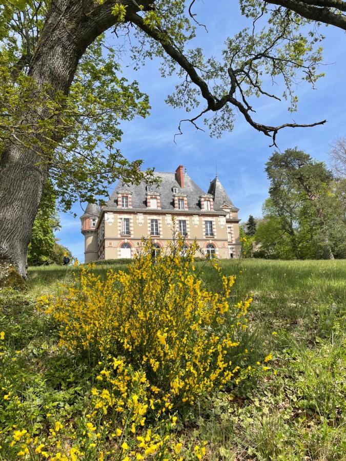 Bed and Breakfast Chateau De Praslins Nogent-sur-Vernisson Exterior foto