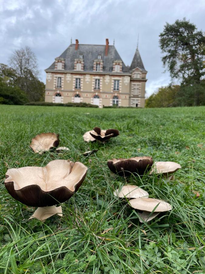 Chateau De Praslins Nogent-sur-Vernisson Exterior foto